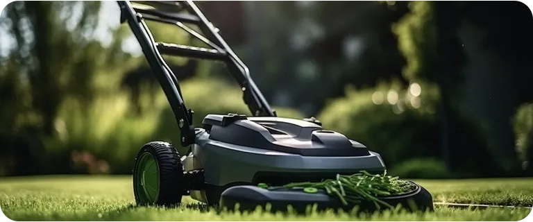 Lawn Services