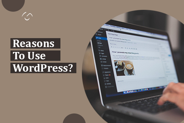 Reasons to use WordPress