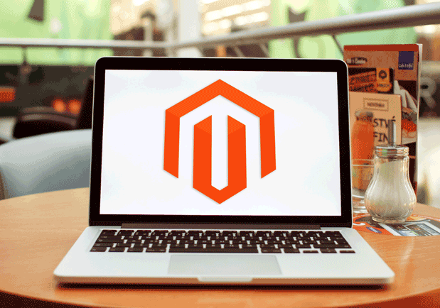 Custom Magento development