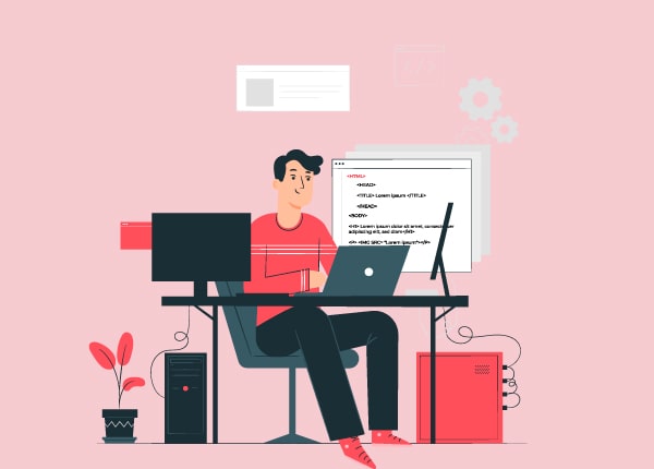 Developers using Magento Web Development Services