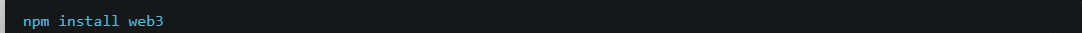 npm install code