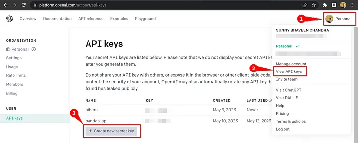 API Key for Pandas AI installation